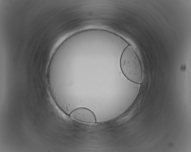 X0000093530807200710121148