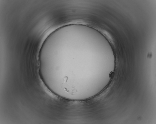X0000093530808200710121148