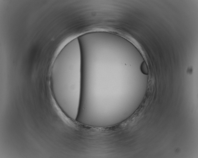 X0000093530811200710121148