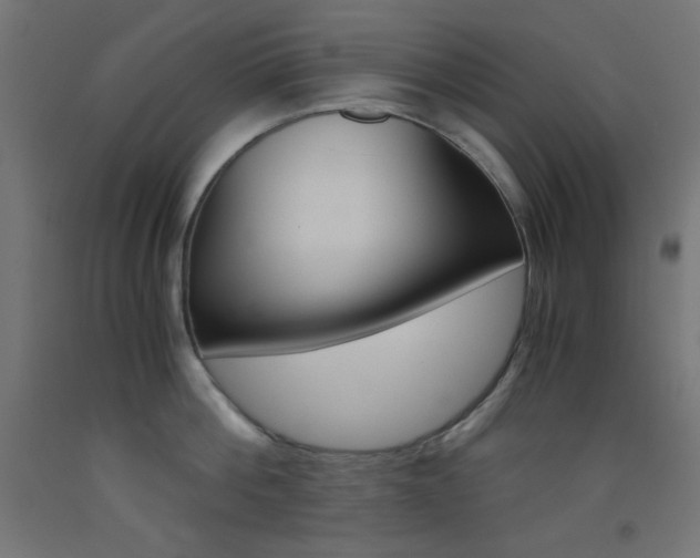 X0000093530812200710121148