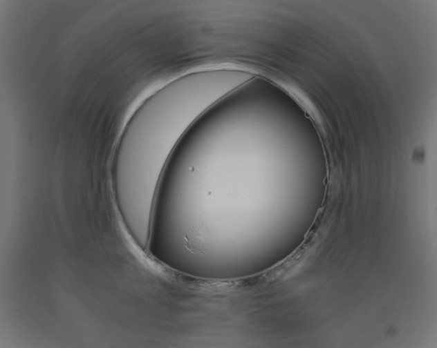 X0000093530813200710121148