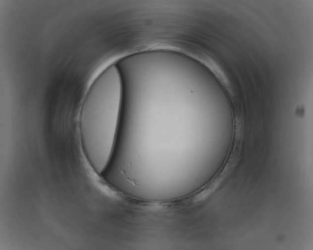 X0000093530814200710121148