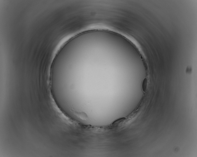 X0000093530815200710121148