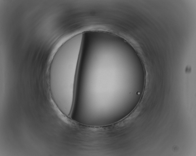 X0000093530816200710121148