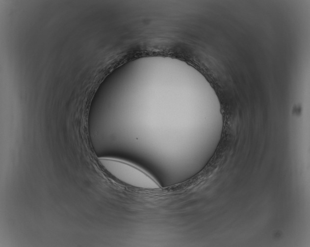 X0000093530817200710121147