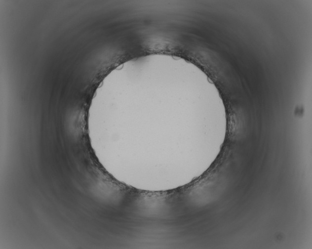 X0000093530820200710121147