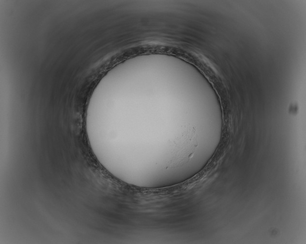 X0000093530821200710121147