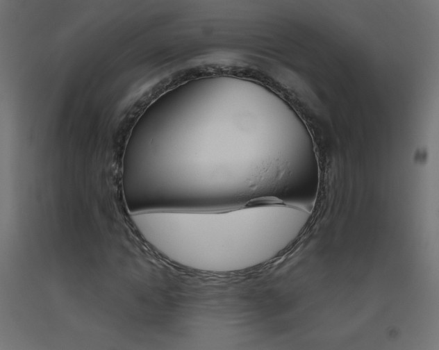 X0000093530822200710121147