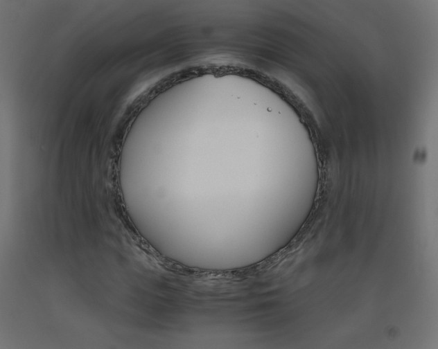 X0000093530823200710121147