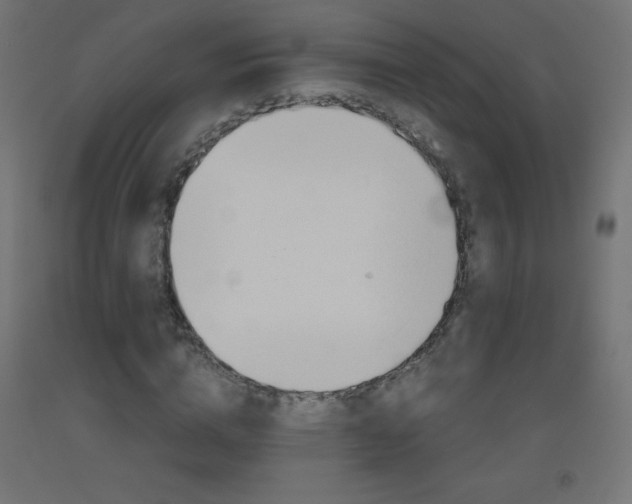 X0000093530824200710121147