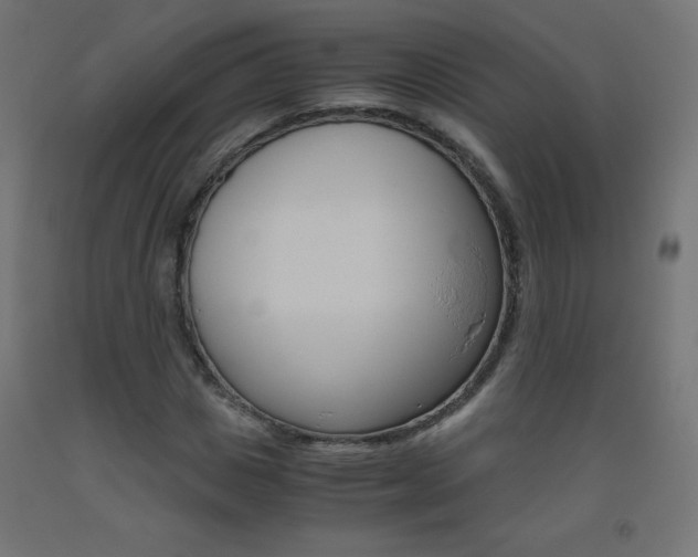 X0000093530825200710121147