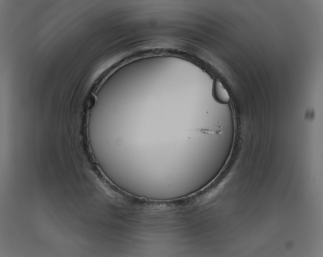 X0000093530826200710121147
