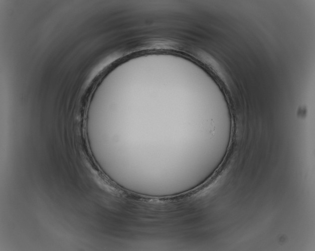 X0000093530827200710121147