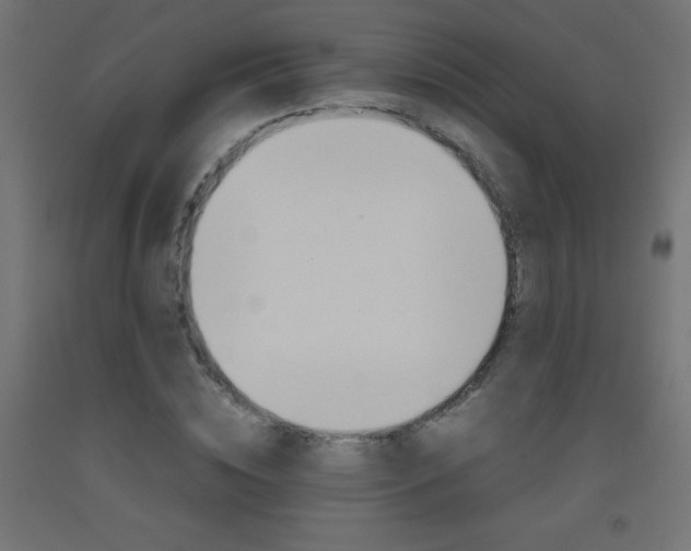 X0000093530828200710121147