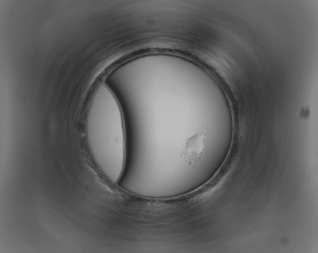 X0000093530829200710121147