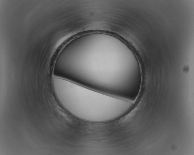 X0000093530830200710121147