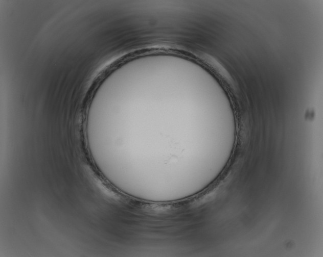 X0000093530831200710121147
