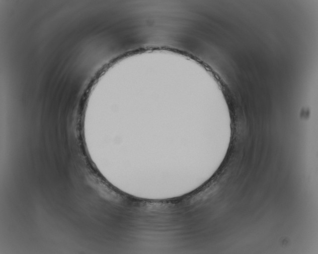 X0000093530832200710121147