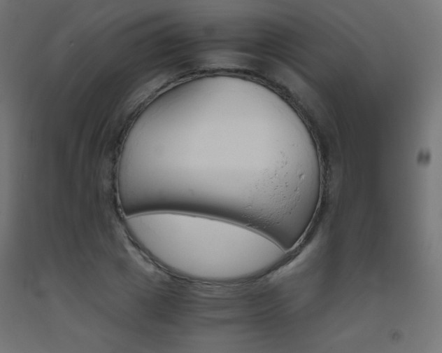 X0000093530833200710121147