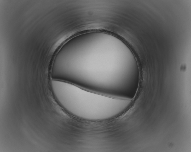 X0000093530834200710121147