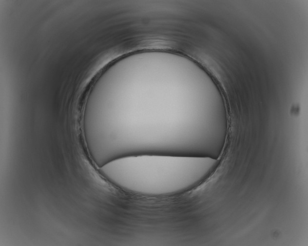 X0000093530835200710121147