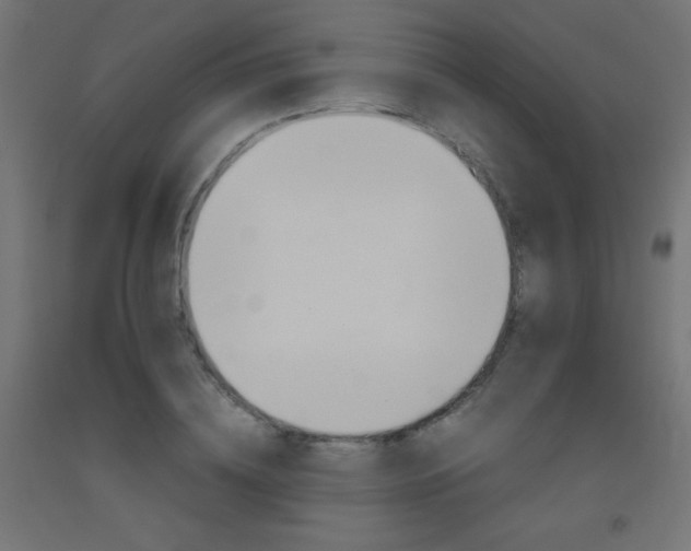 X0000093530836200710121147