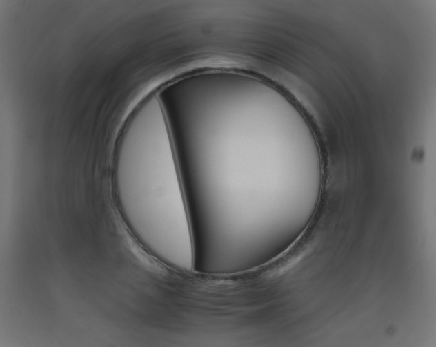 X0000093530837200710121147