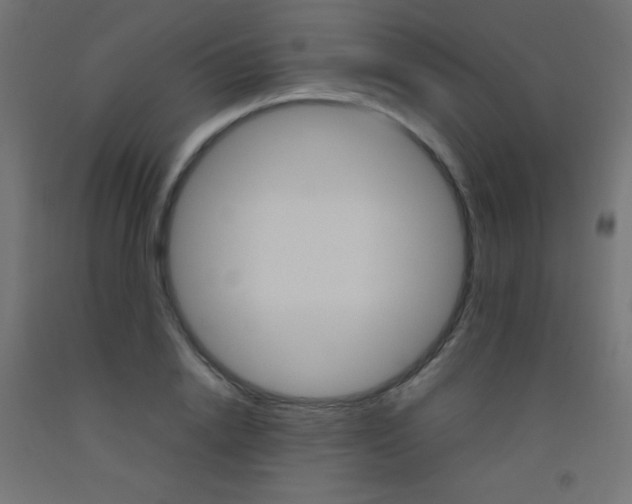 X0000093530838200710121147