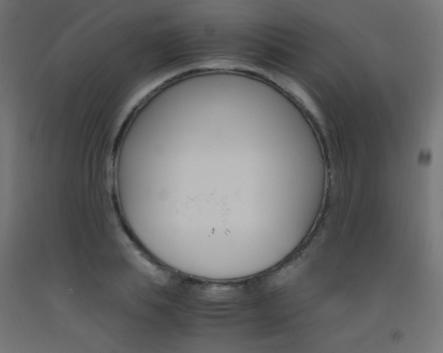 X0000093530839200710121147