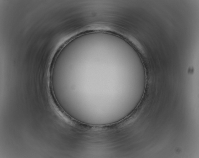 X0000093530840200710121147