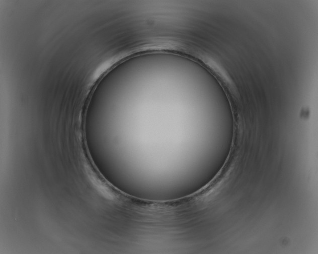 X0000093530842200710121147
