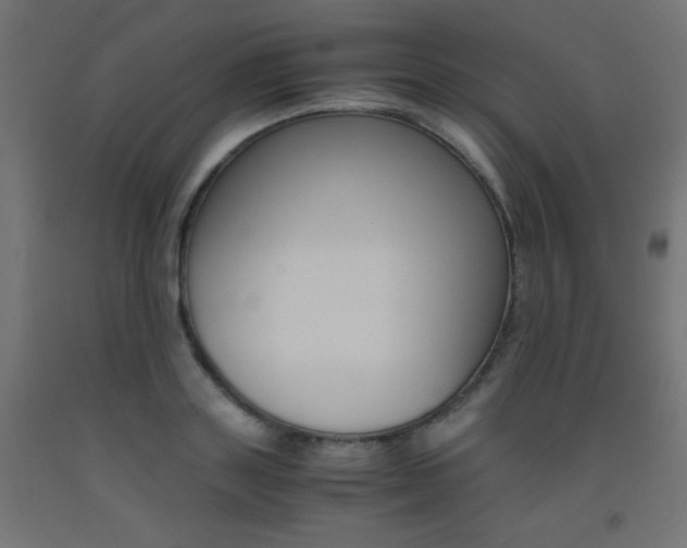 X0000093530843200710121147