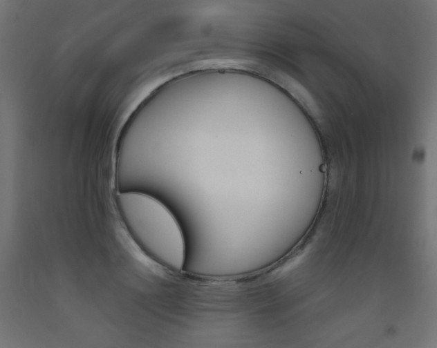 X0000093530844200710121147