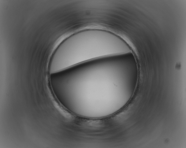 X0000093530845200710121147
