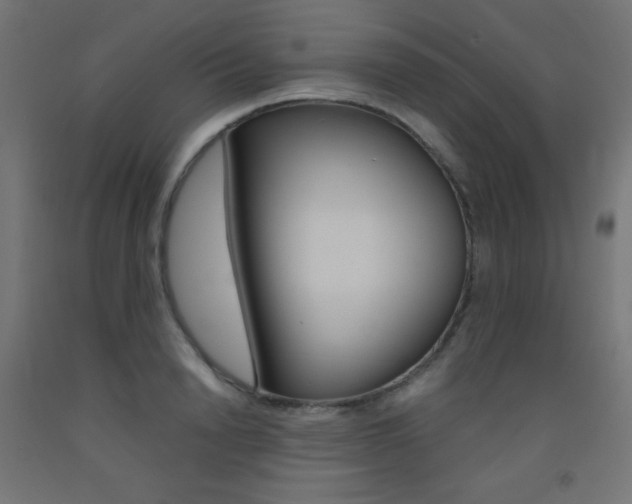 X0000093530846200710121147