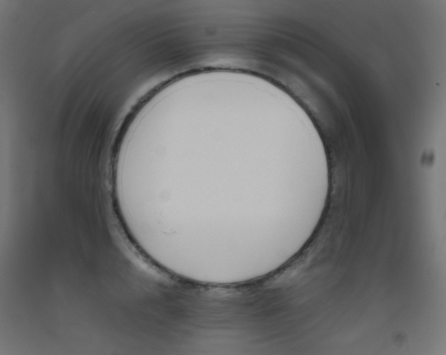 X0000093530848200710121147