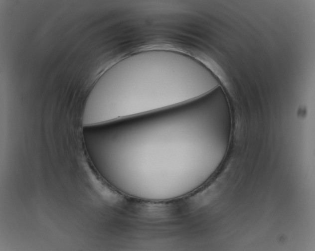 X0000093530849200710121147