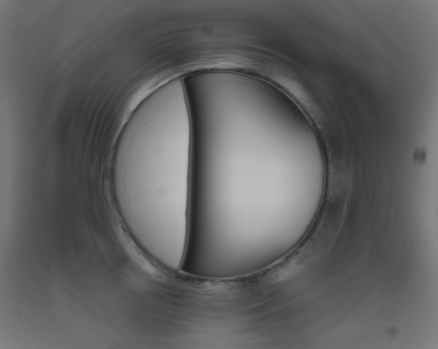 X0000093530850200710121147