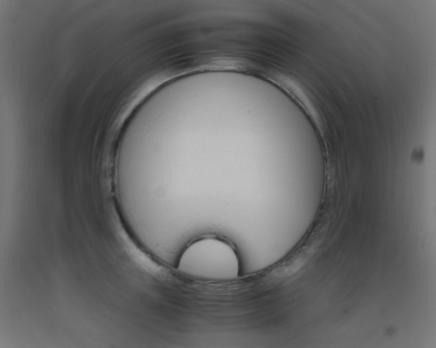 X0000093530851200710121147