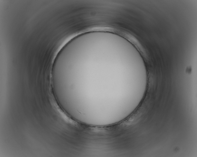 X0000093530852200710121147