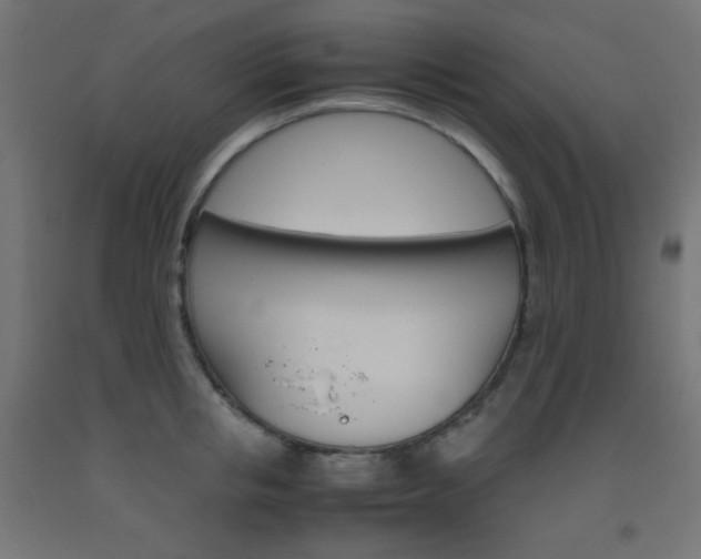 X0000093530853200710121147