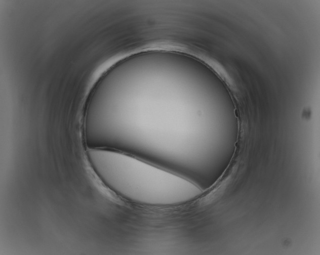 X0000093530854200710121147
