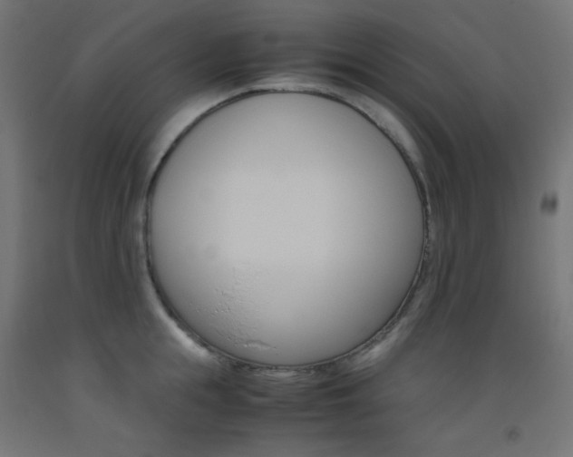 X0000093530855200710121147
