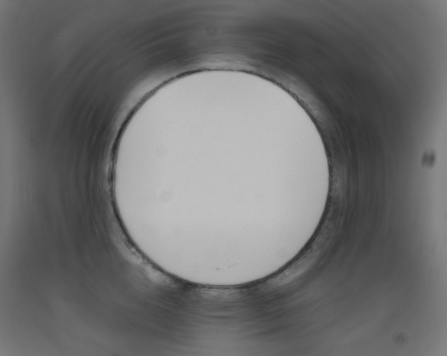X0000093530856200710121147