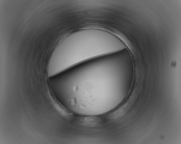 X0000093530857200710121148