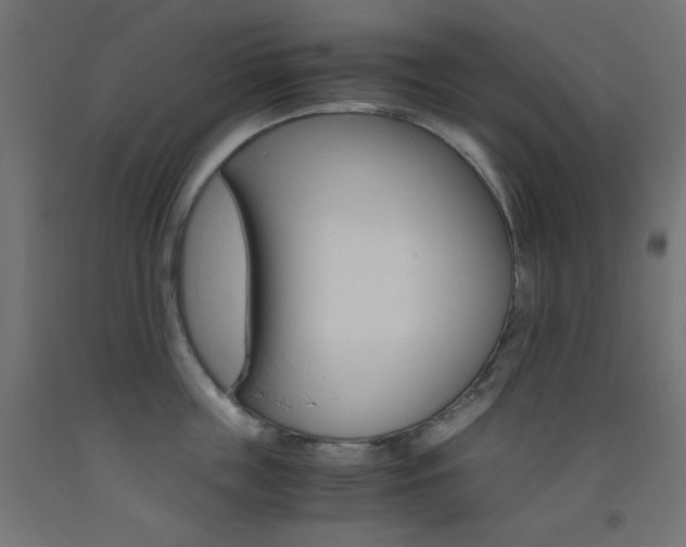 X0000093530859200710121148