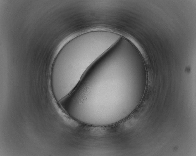 X0000093530861200710121148