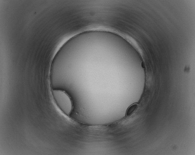 X0000093530863200710121148