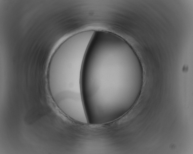 X0000093530864200710121148
