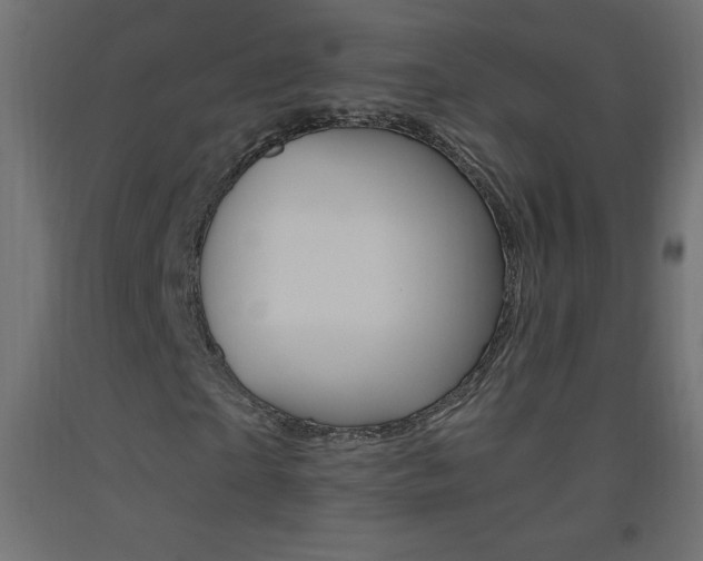 X0000093530865200710121147